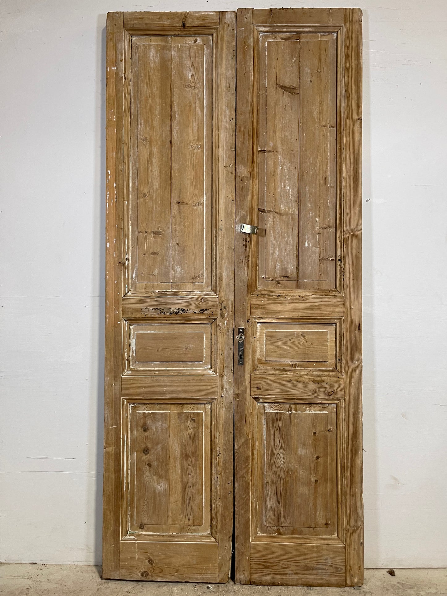 Antique French panel Doors (96.5x43.75) L351