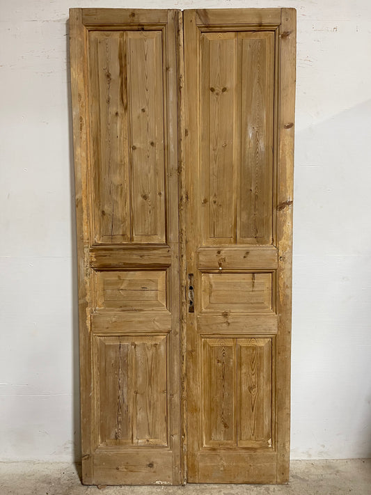 Antique French Panel Doors (96.75x43.25) J663