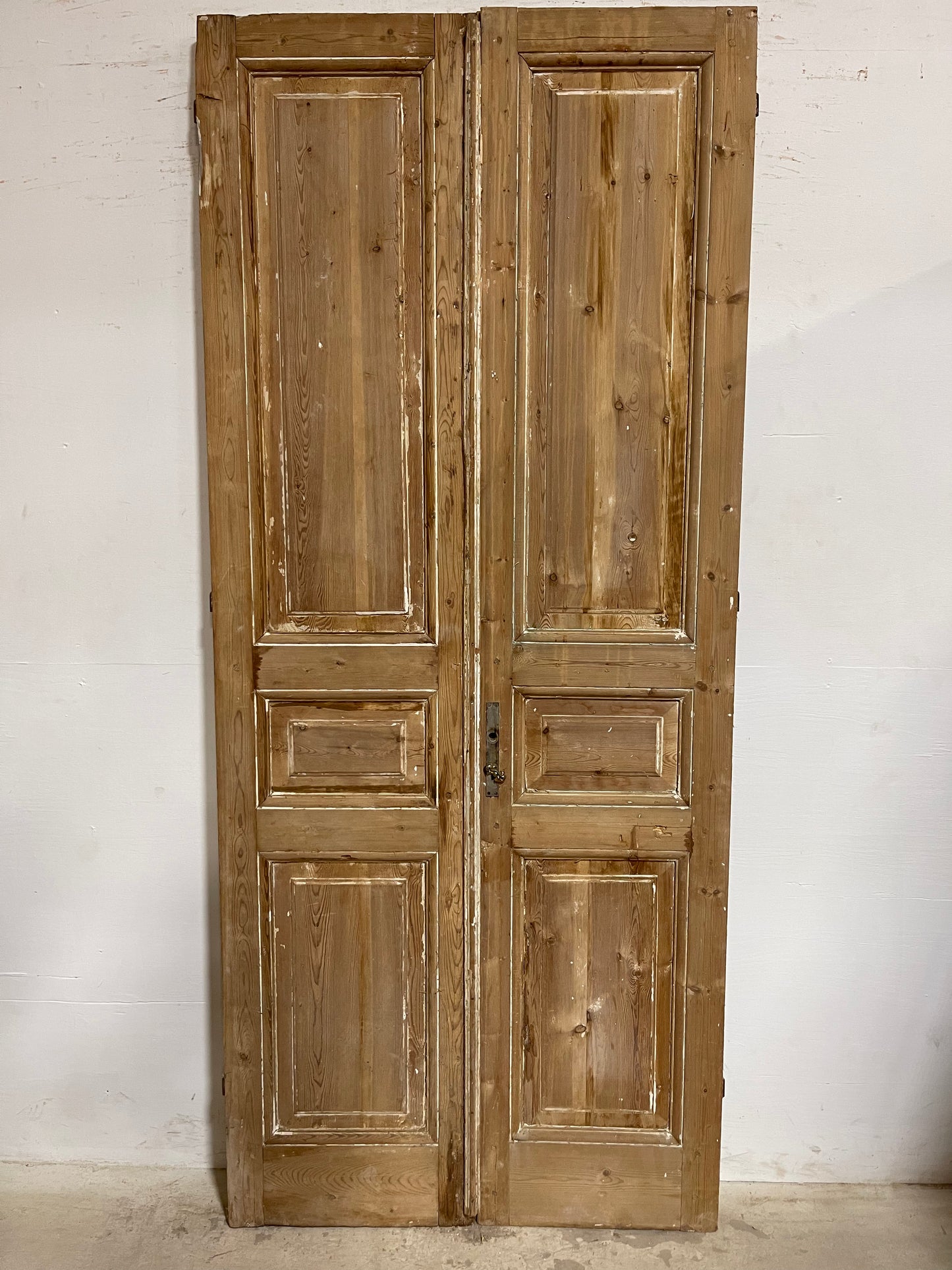 Antique French Panel Doors (98.25x41.5) J666