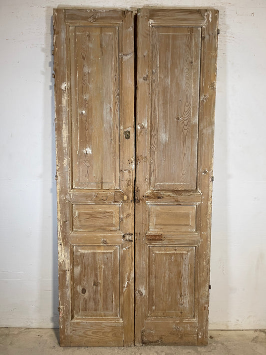 Antique French panel Doors (94.5x43.75) K710