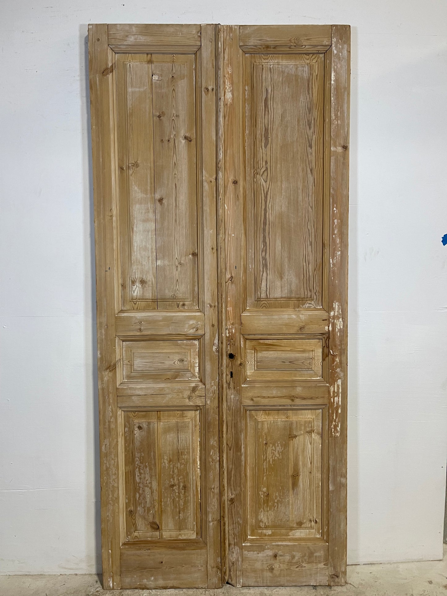 Antique French panel Doors (96x43) L287