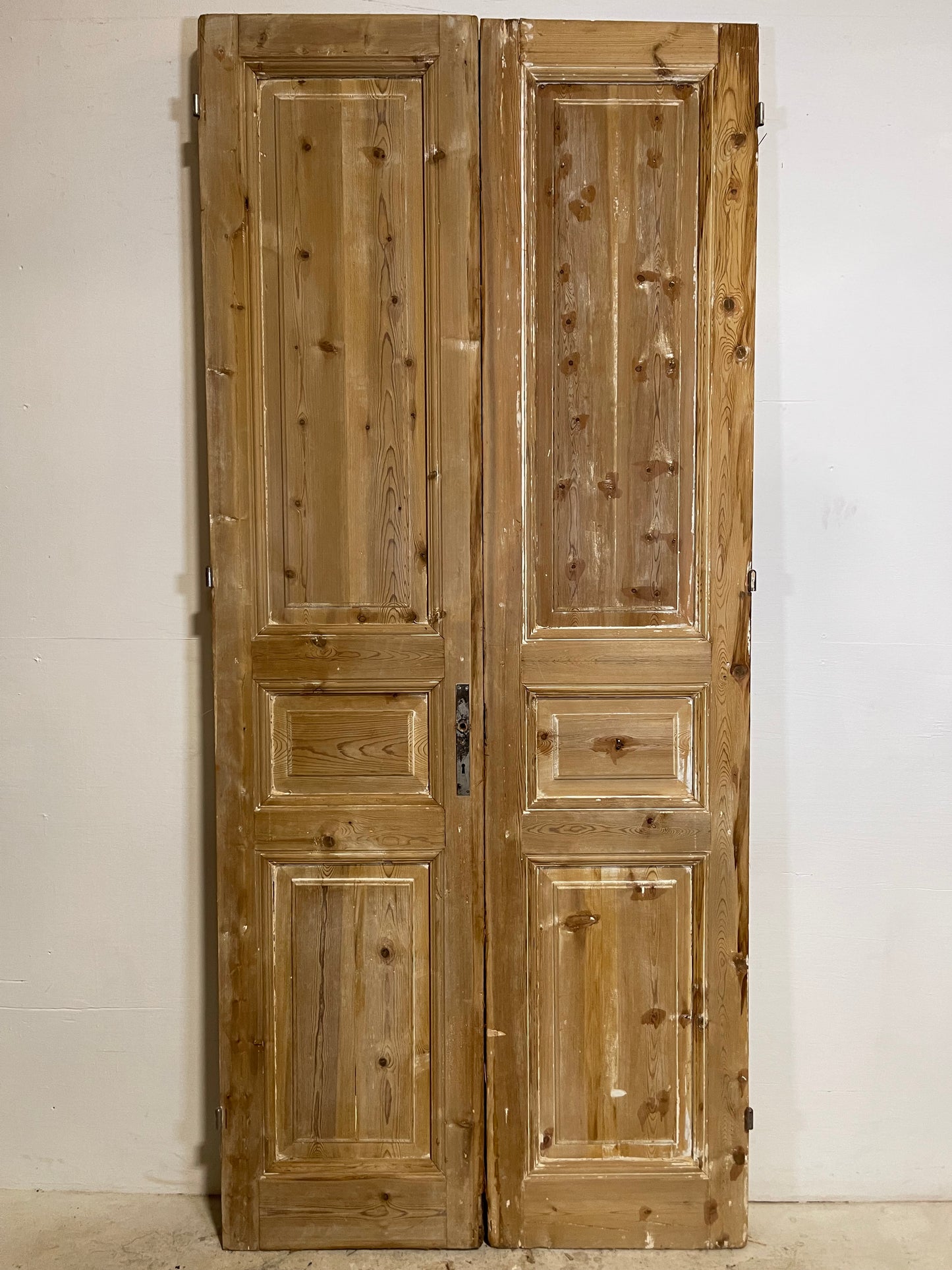 Antique French panel Doors (94.5x41.5) L265