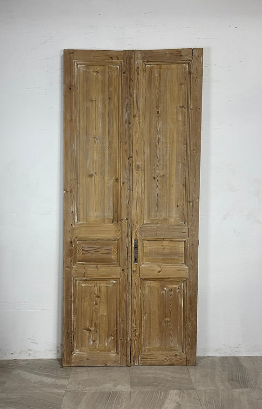 Antique French panel Doors (98.25 x 42.25)   N056