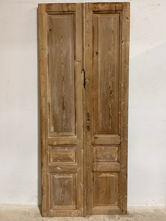 Antique French panel Doors (94.25x39.25) J612