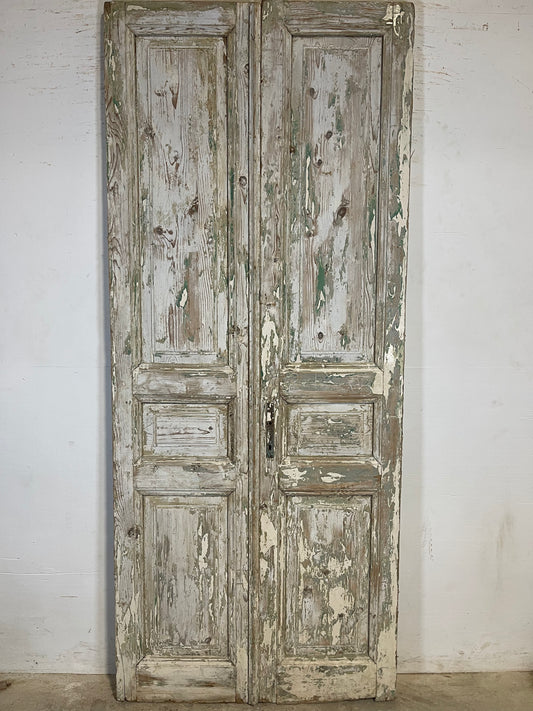 Antique French panel Doors (96x40.5) K629