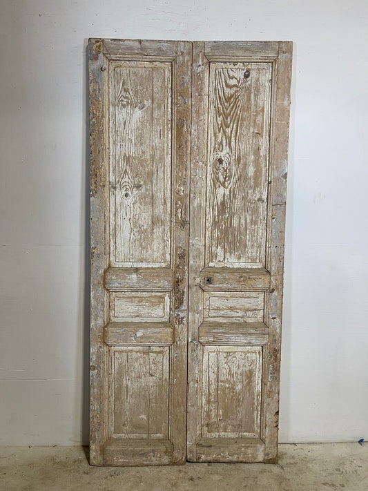 Antique French panel Doors (90.5x41.5) L274