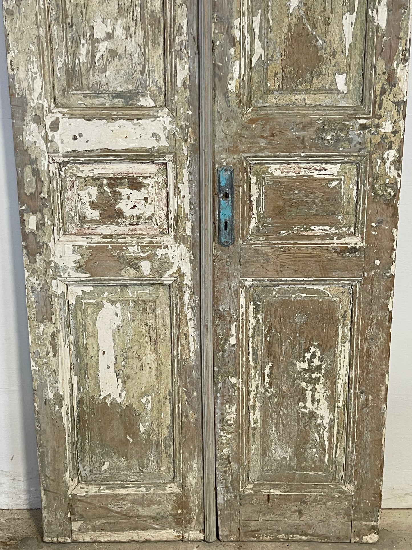 Antique French panel Doors (96x39) K626