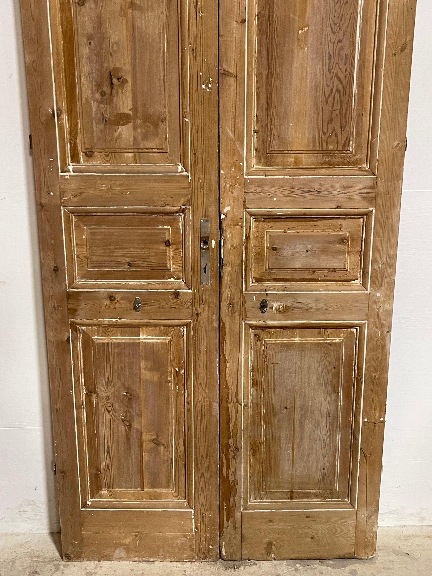 Antique French Panel Doors (98.25x41.5) J666