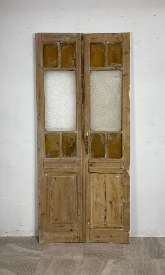 Antique French Panel Doors with Glass   (98 x 43.5)   N053