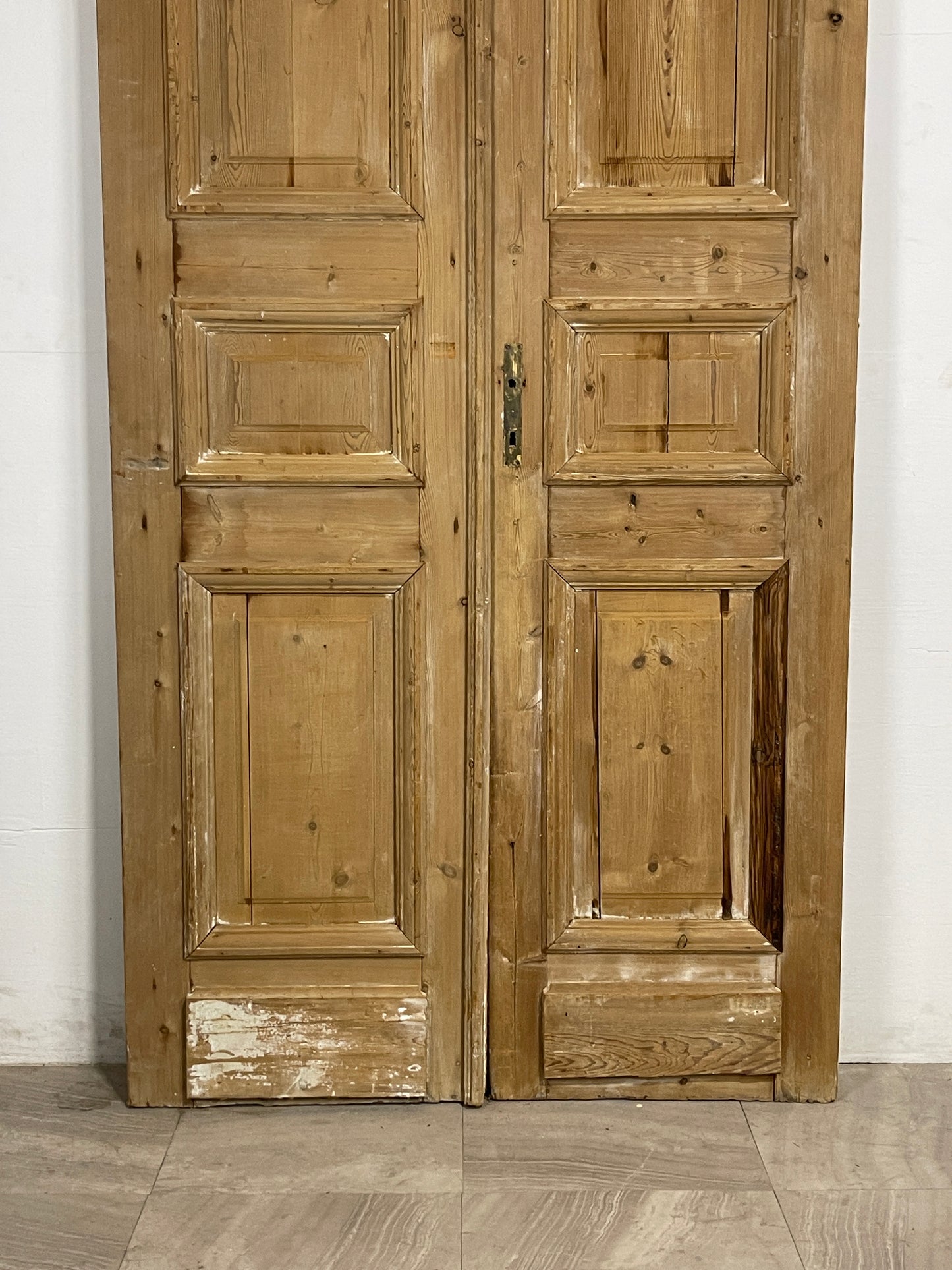 Antique French panel Doors (95 x 46.5)   N137