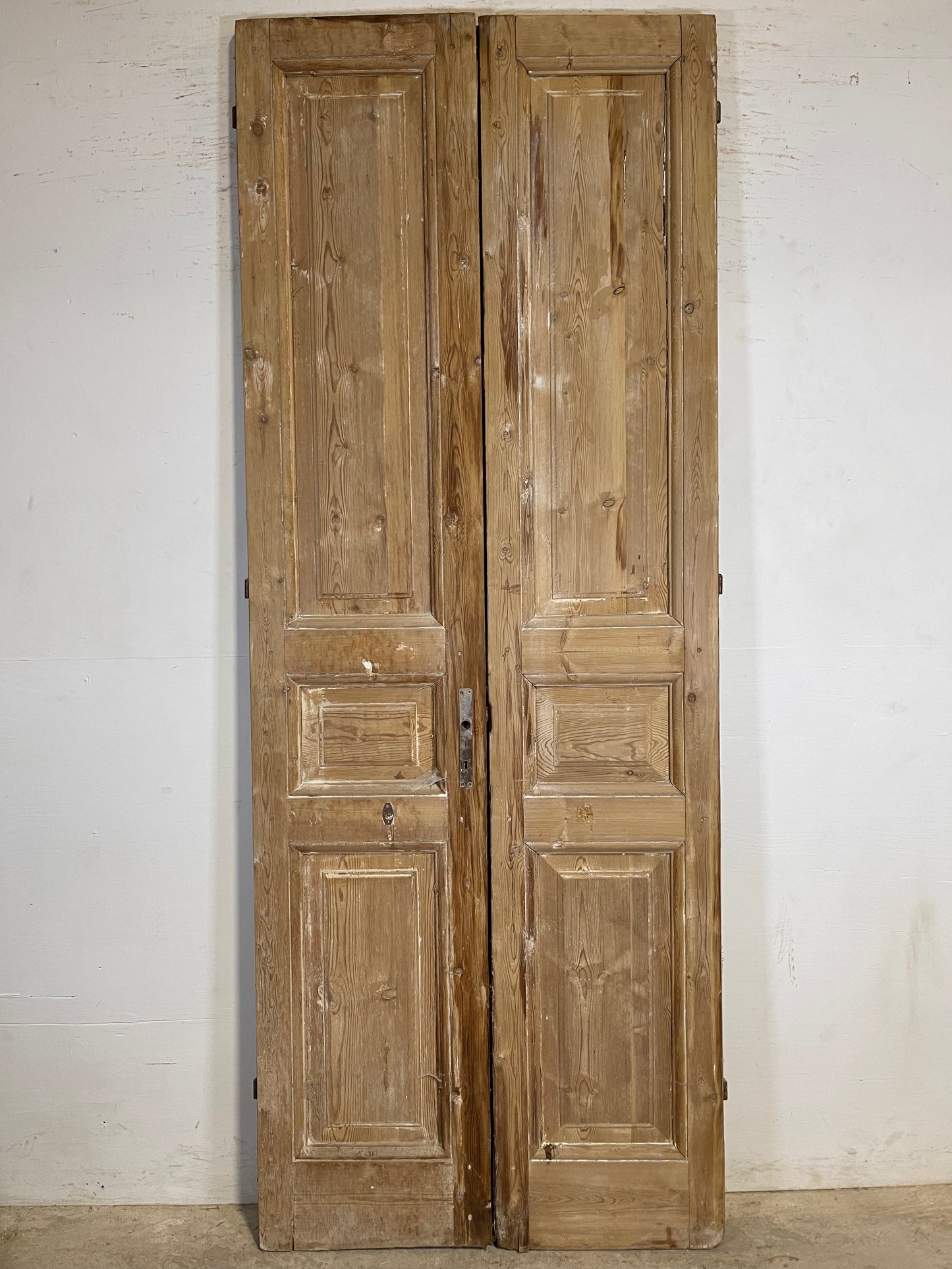 Antique French panel Doors (98.25x37.5) K376