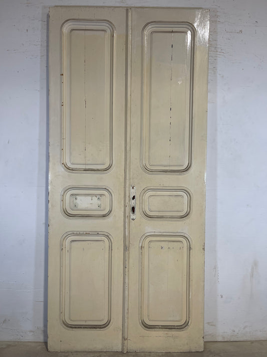 Antique French panel Doors (99x45.75) L115