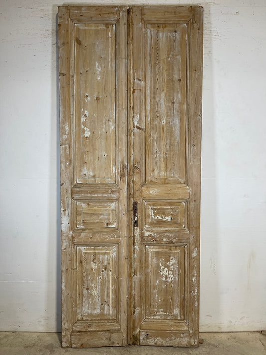 Antique French panel Doors (95.25x39.25) K735