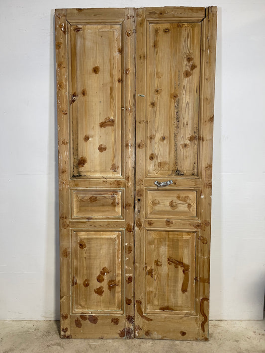 Antique French panel Doors (94.25x43.5) L297