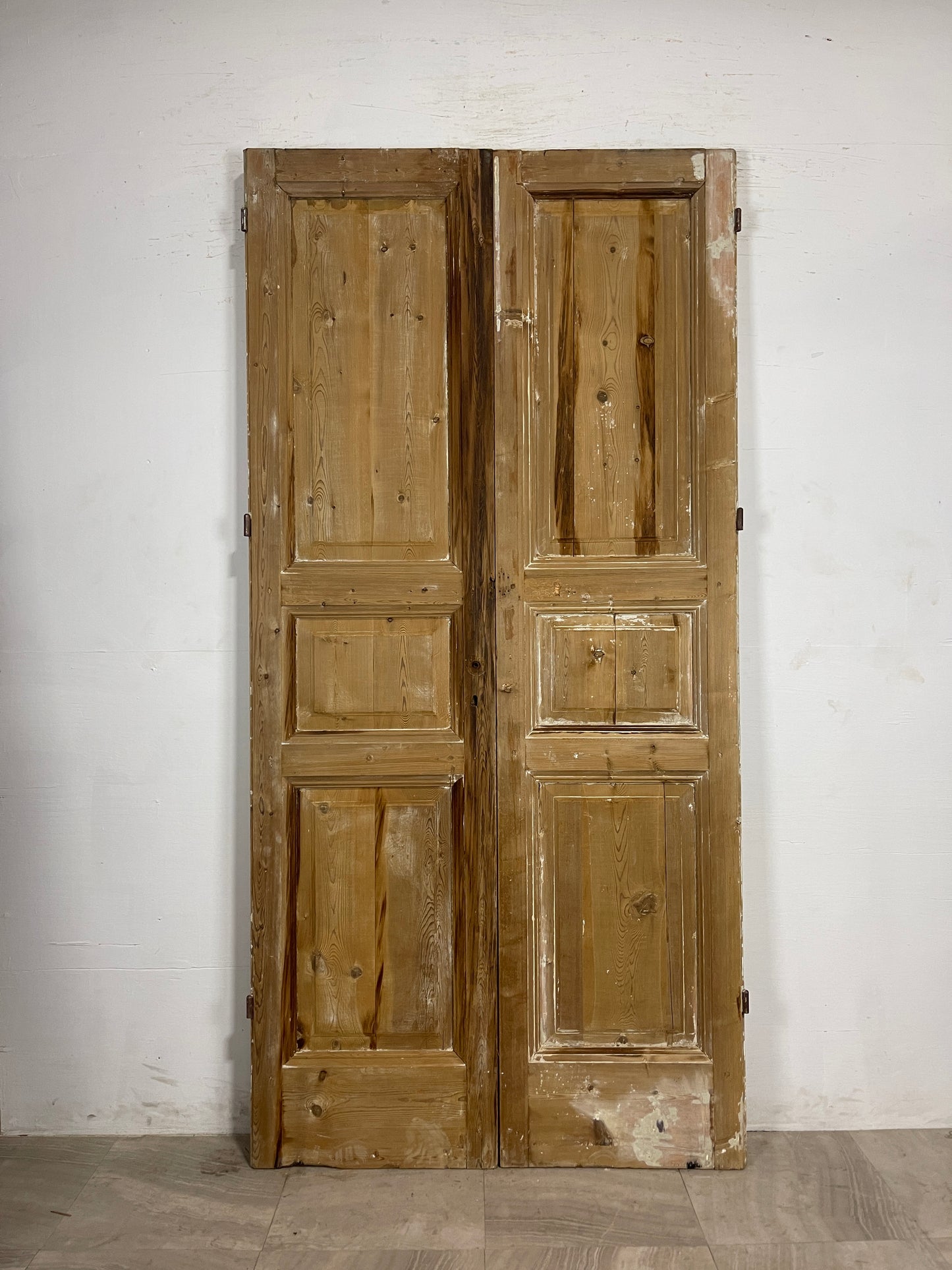 Antique French panel Doors  (94.75 x 46.25)   N141