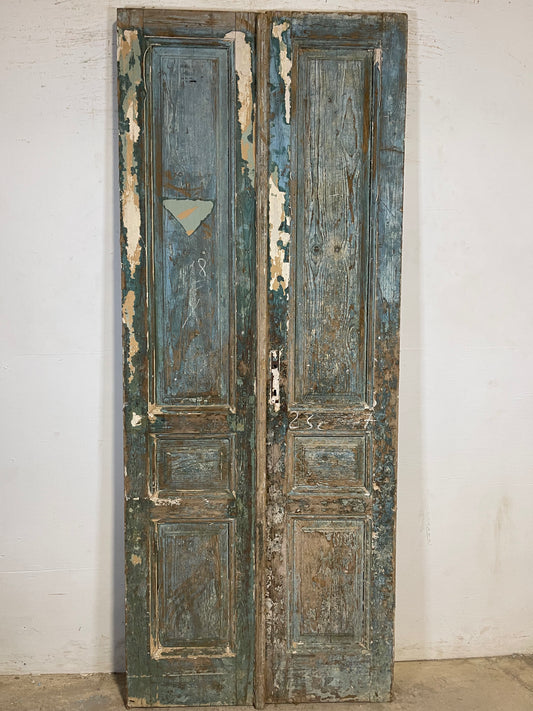 Antique French panel Doors (91.5x36.75) K655