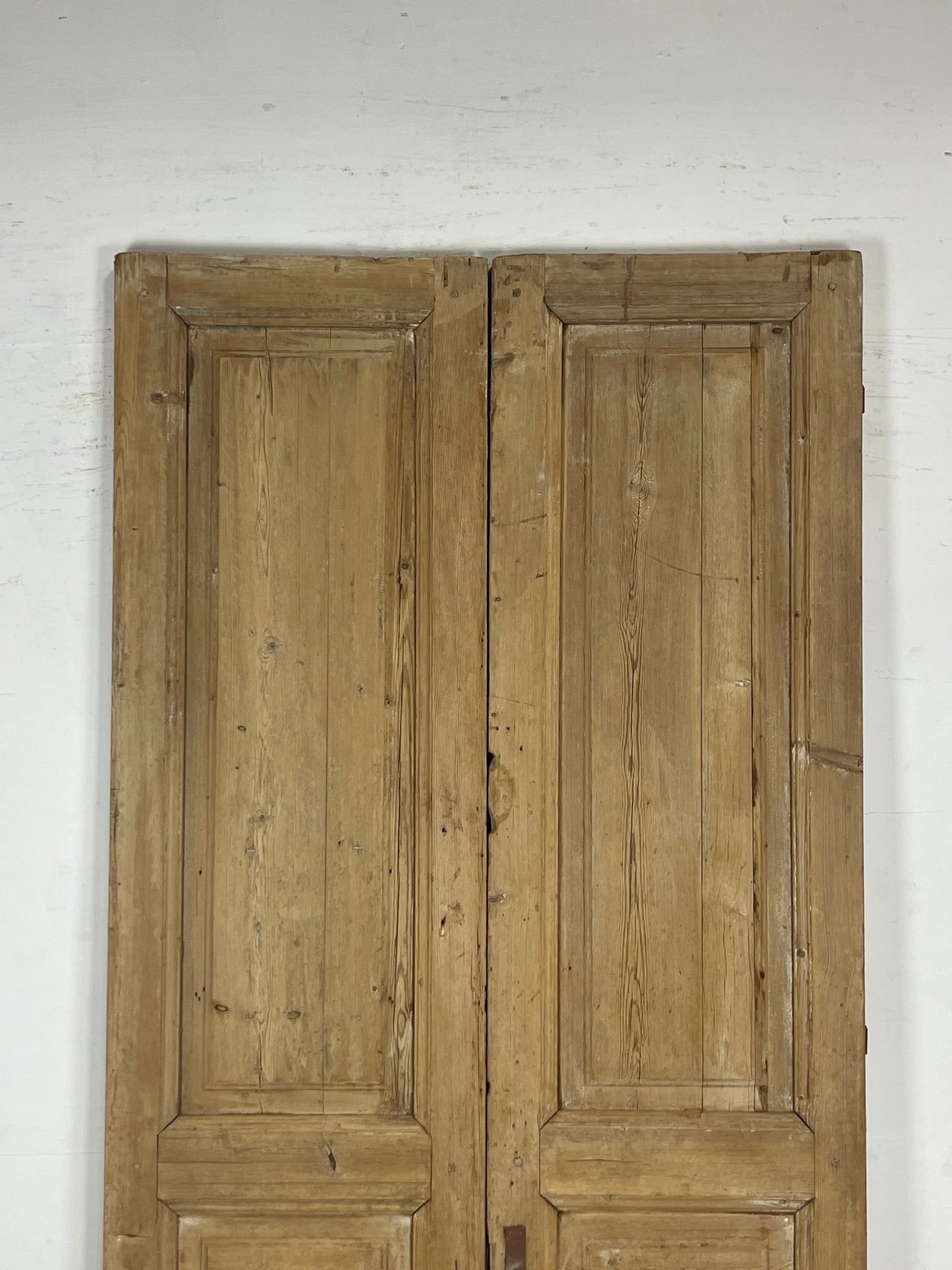 Antique French panel Doors (100.25 x 43.5) N118