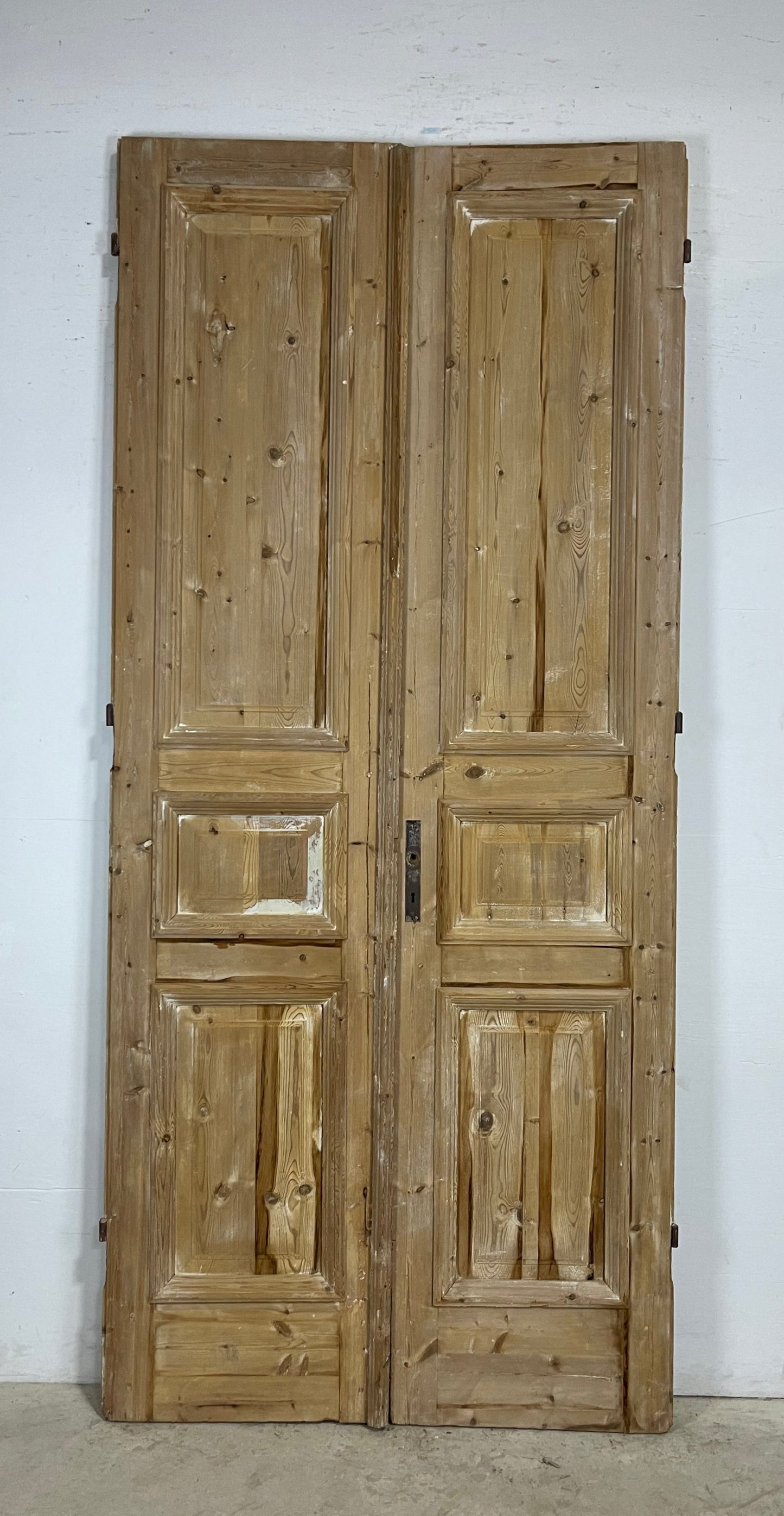 Antique French panel Doors (104 x 46.25) M161