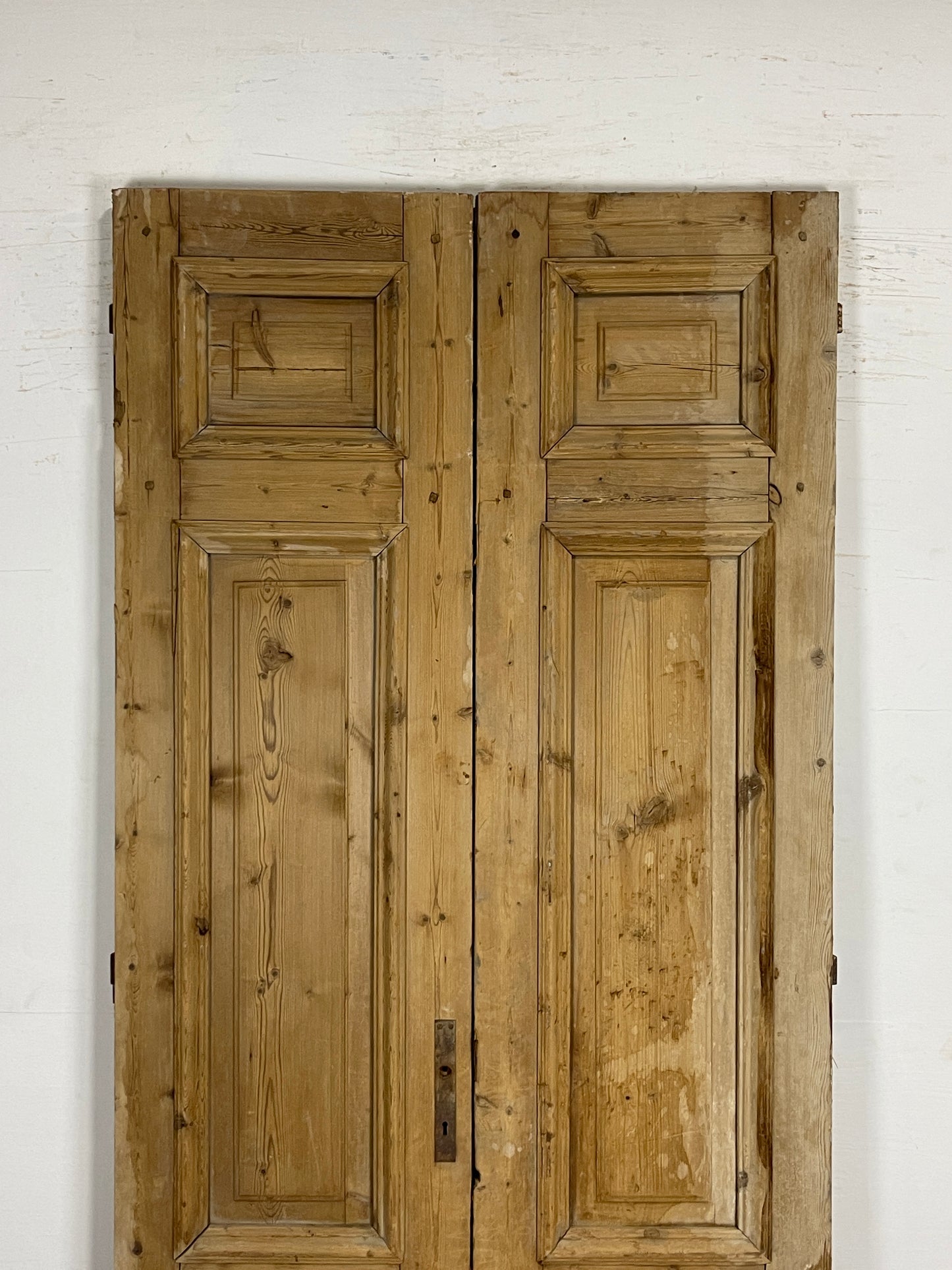 Antique French panel Doors  (97.25 x 42.25)   N142