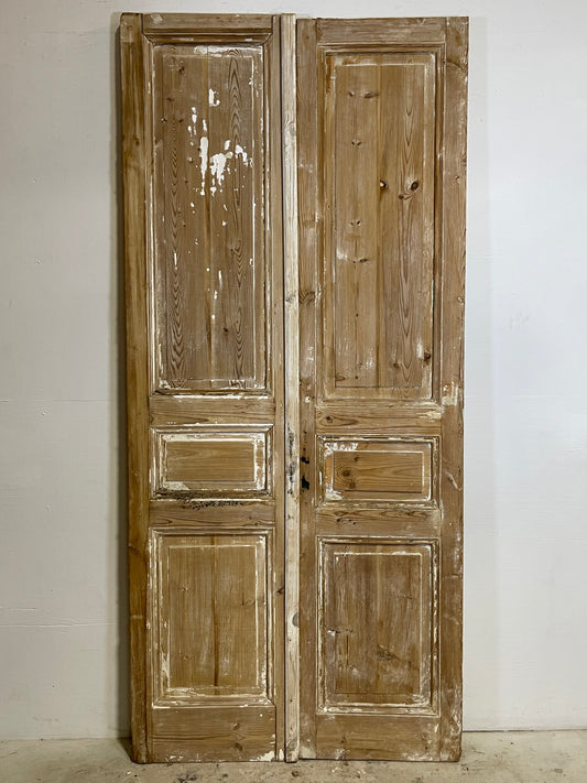 Antique French panel Doors (96.5x44) L266