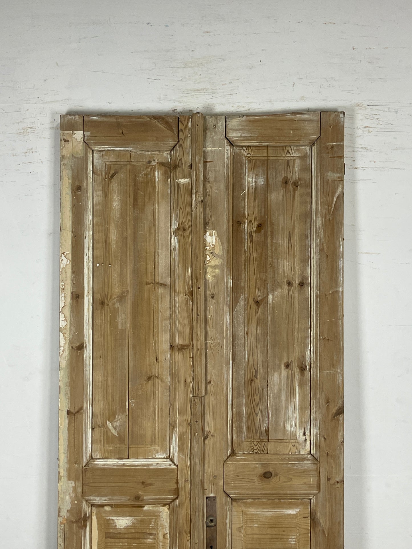 Antique French panel Doors (94.5 x 35.25) N127