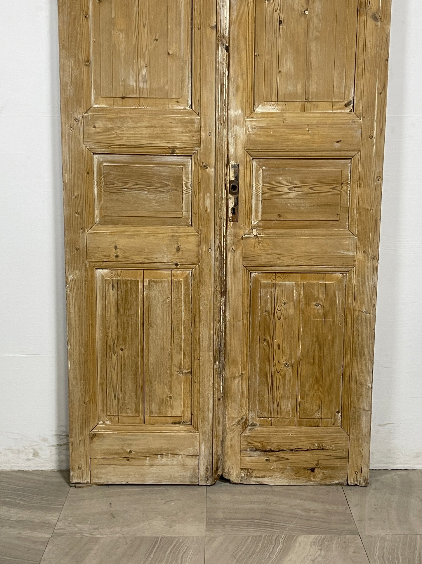 Antique French panel Doors (93.25 x 39.75)   N094