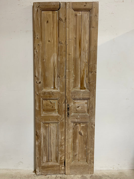 Antique French panel Doors (93x33) J611