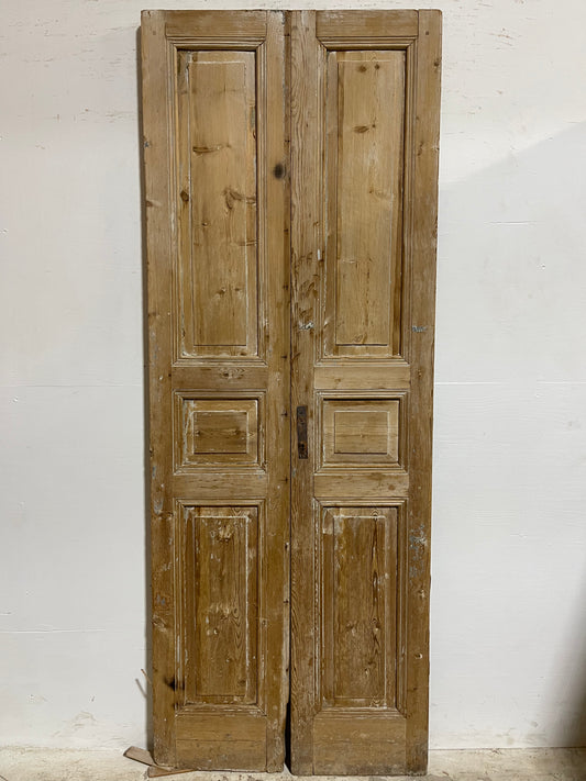 Antique French panel Doors (89.75x33.50) J619