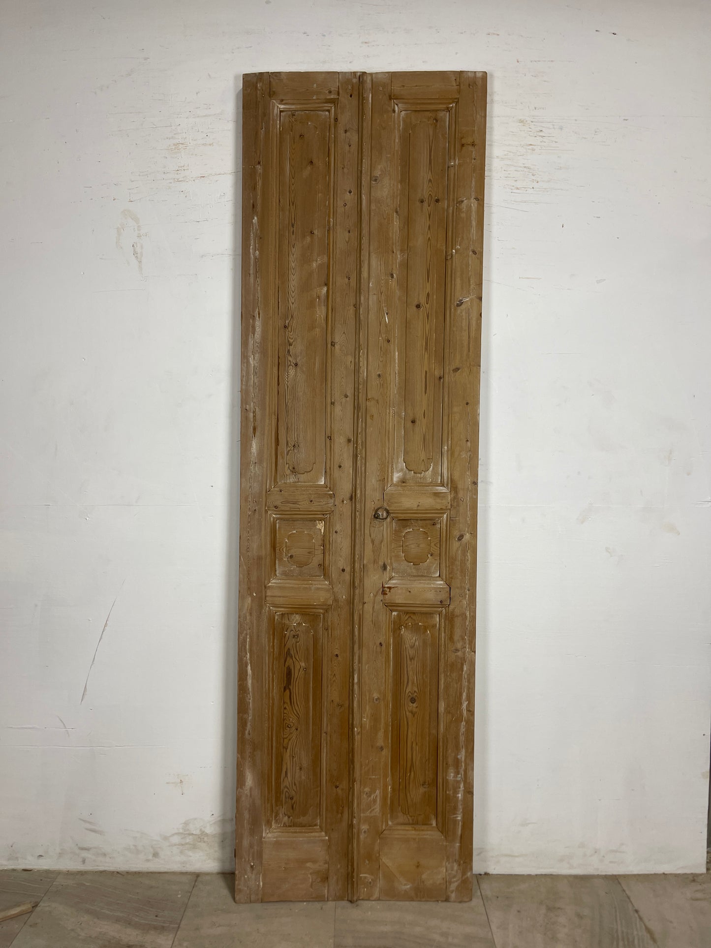 Antique French panel Doors (100.5 x 29) N224