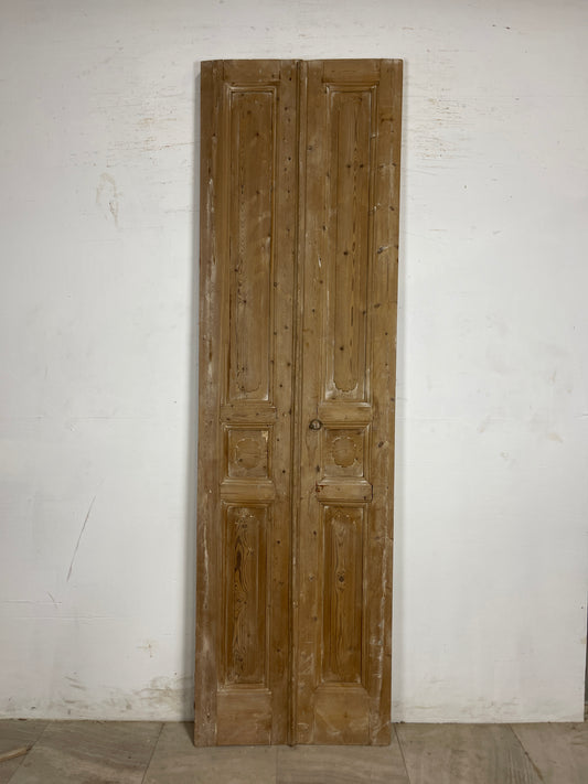 Antique French panel Doors (100.5 x 29) N224