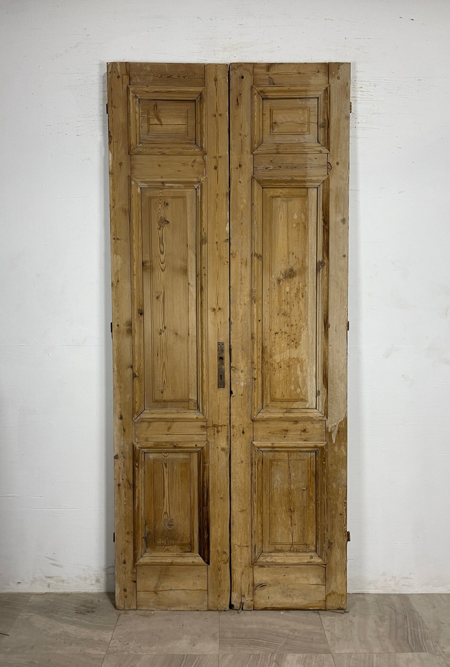 Antique French panel Doors  (97.25 x 42.25)   N142