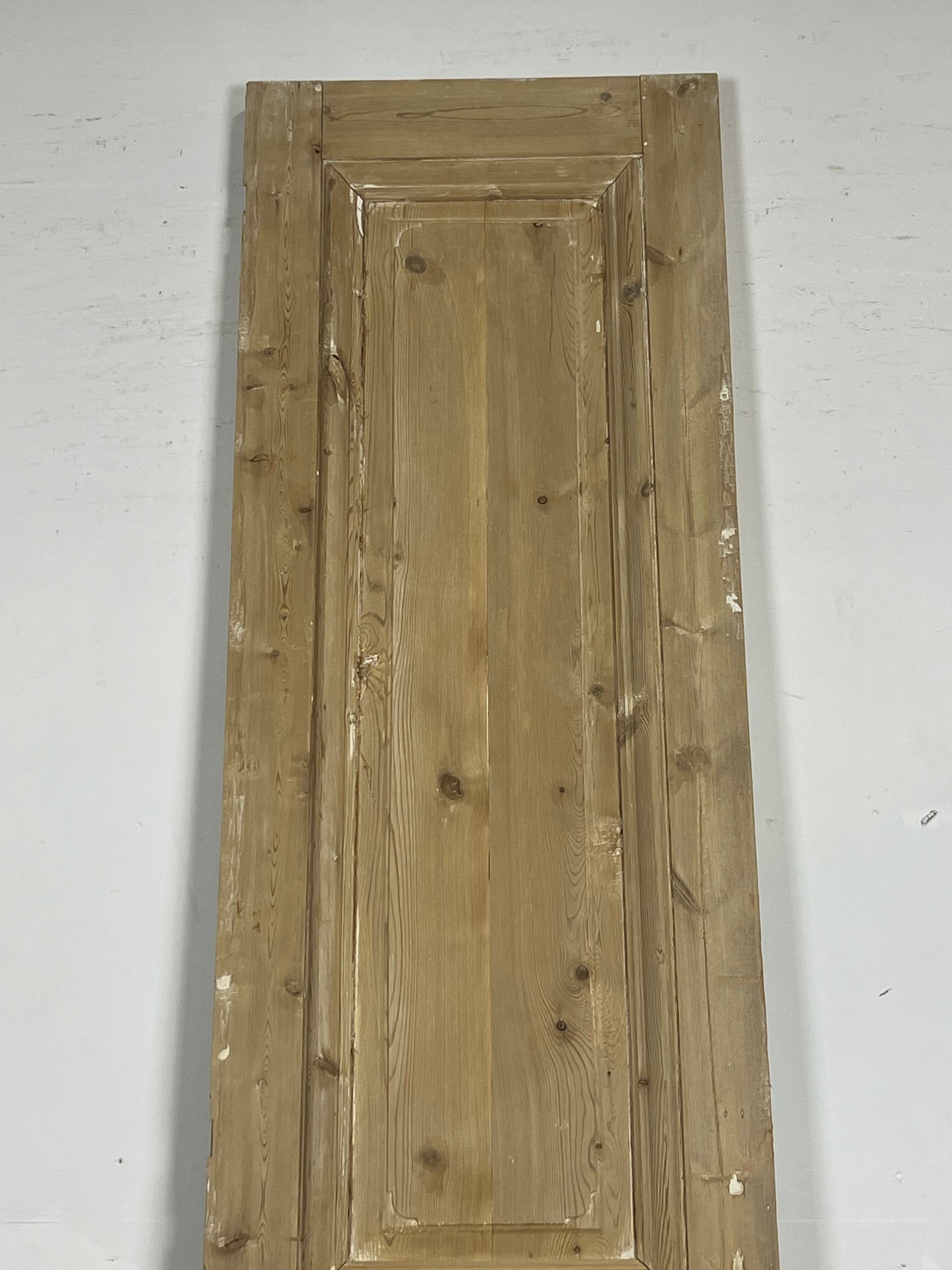 Antique French panel door (100.5x22.5) L379