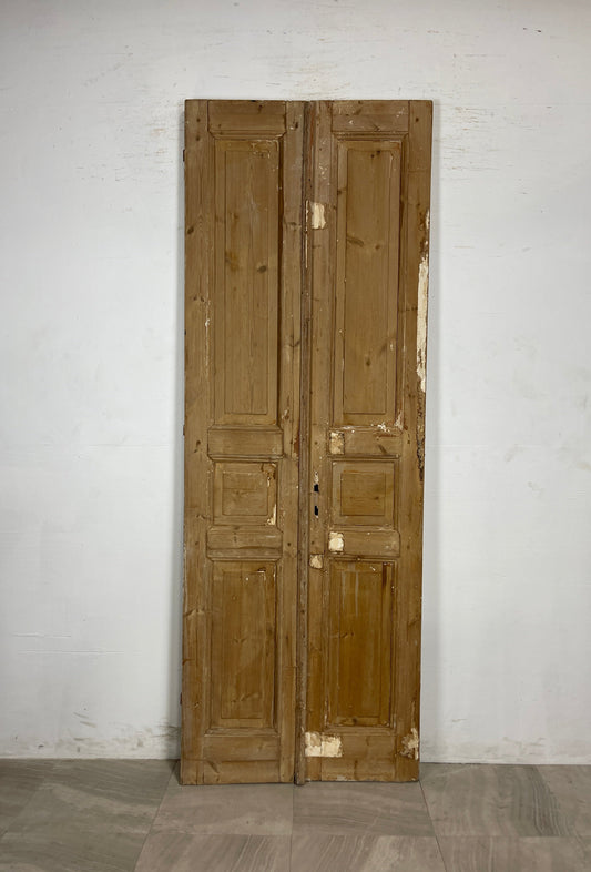 Antique French panel Doors (95.75 x 34.25) N104