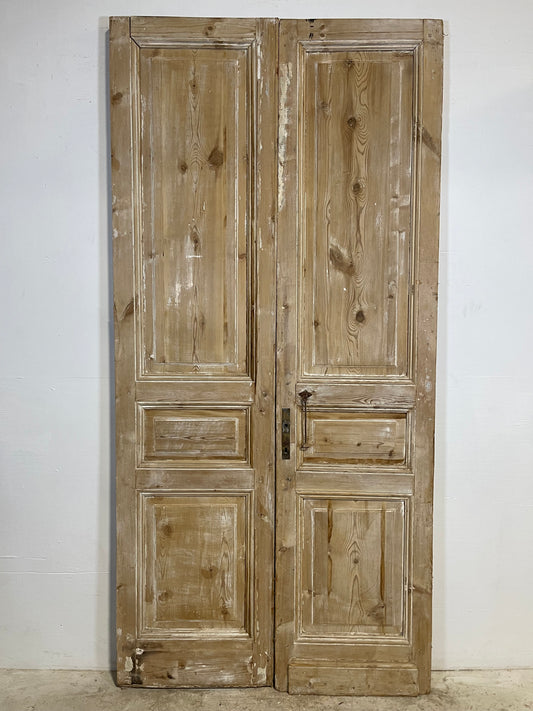 Antique French panel Doors (100.25x48) L294