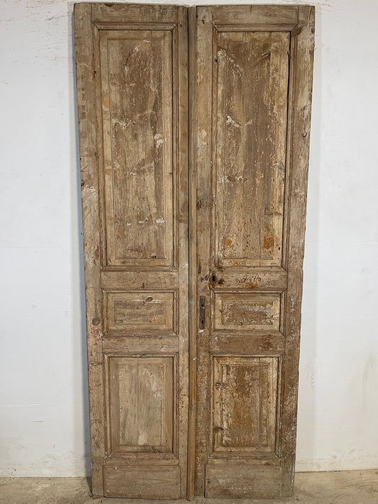 Antique French panel Doors (87.25x39) K636