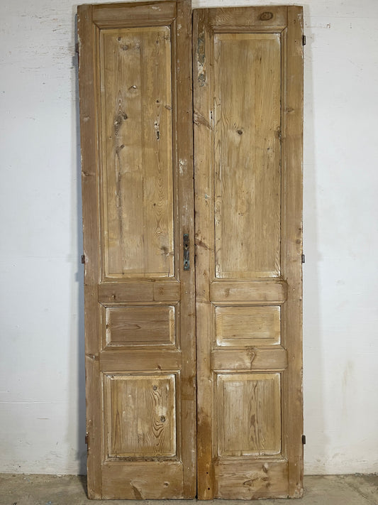 Antique French panel Doors (97.25x43.5) K653