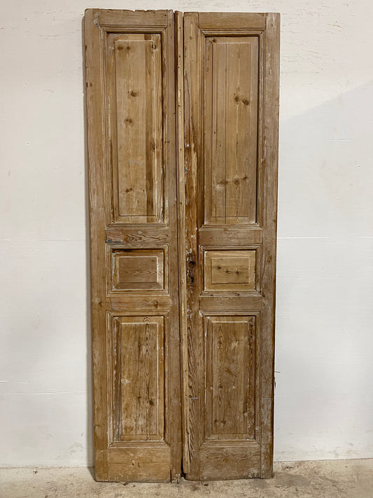 Antique French panel Doors (89.5x35.75) J638