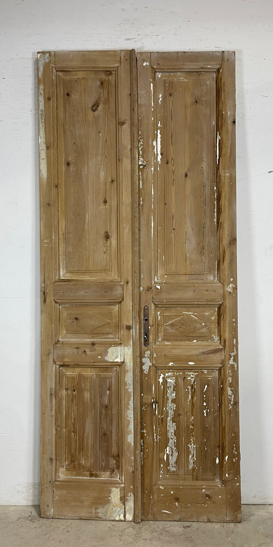 Antique French panel Doors (102 x 43.5) M164