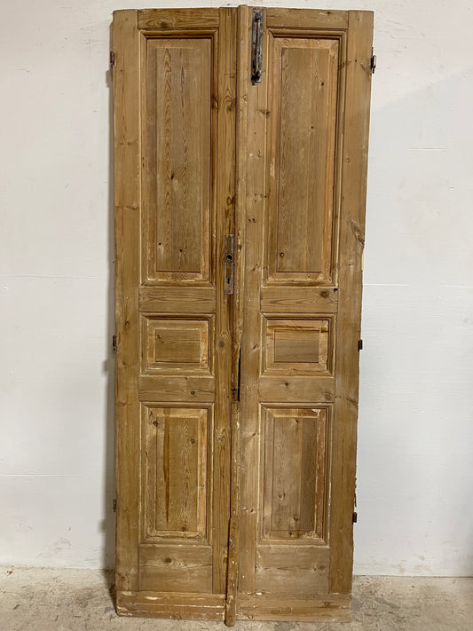 Antique French panel Doors (83.25x33.75) J639