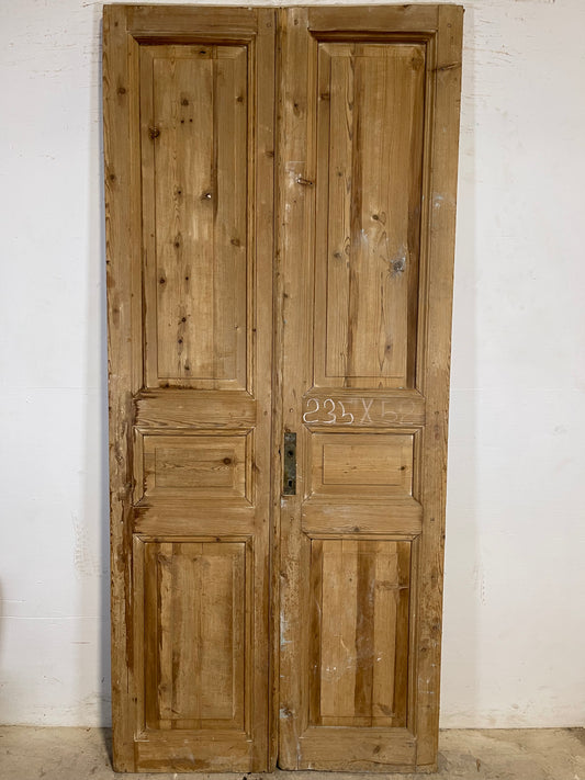 Antique French panel Doors (92.5x41.25) K611