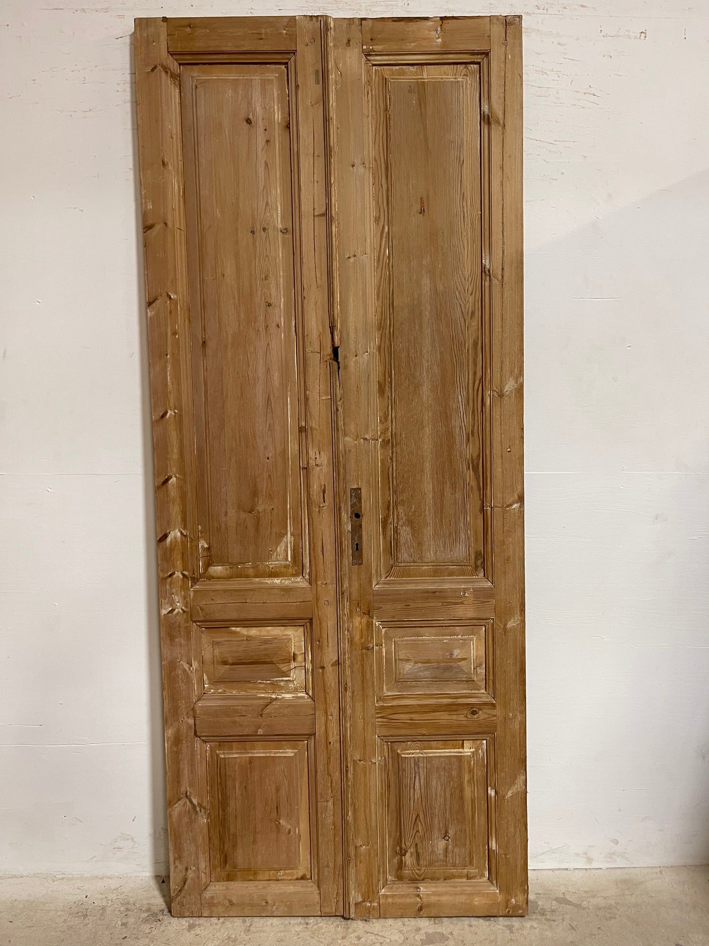 Antique French Panel Doors (94.5x39) J656