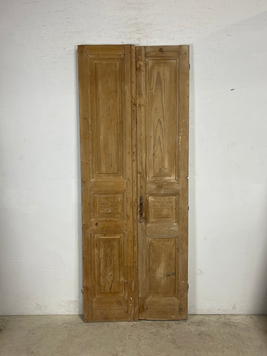 Antique French panel Doors (91x35.25) M138