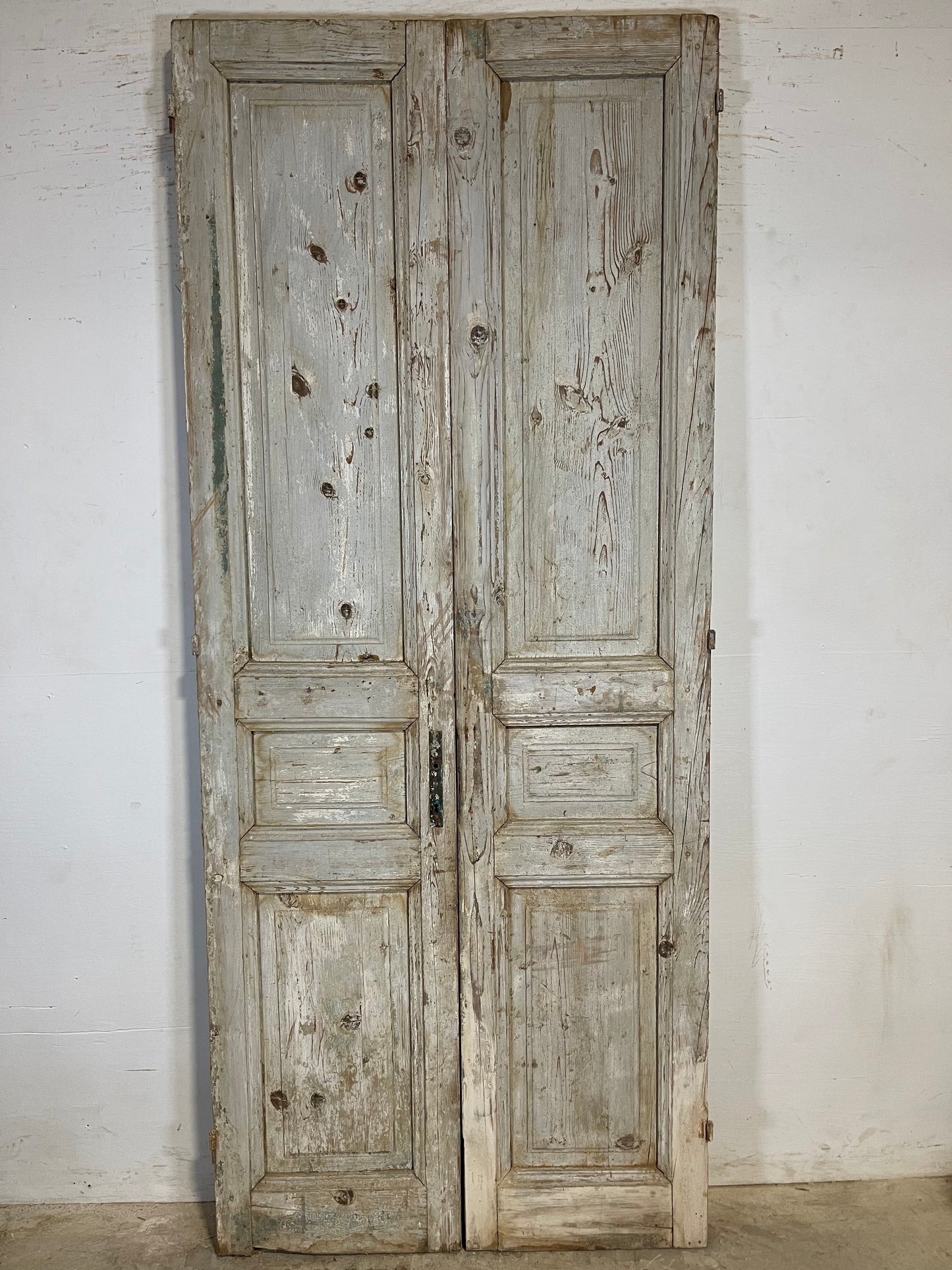 Antique French panel Doors (96x40.5) K629