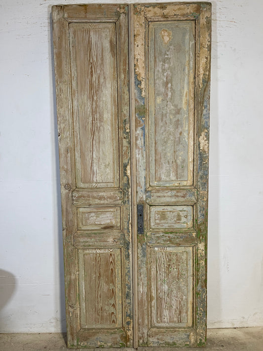 Antique French panel Doors (93x39.5) K620