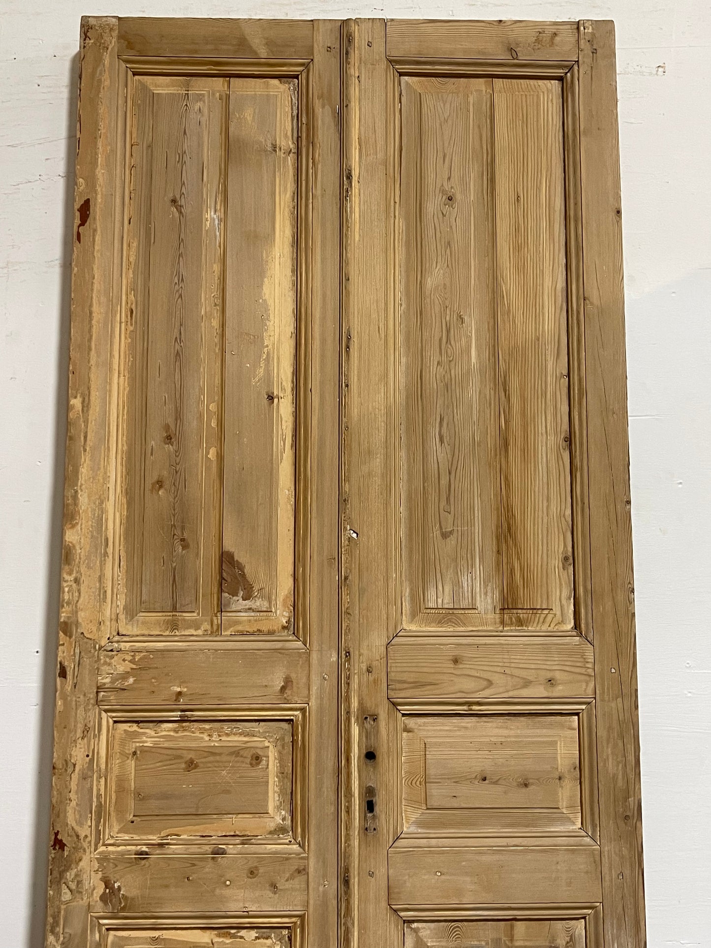 Antique French panel Doors (97.25x40.25) J635