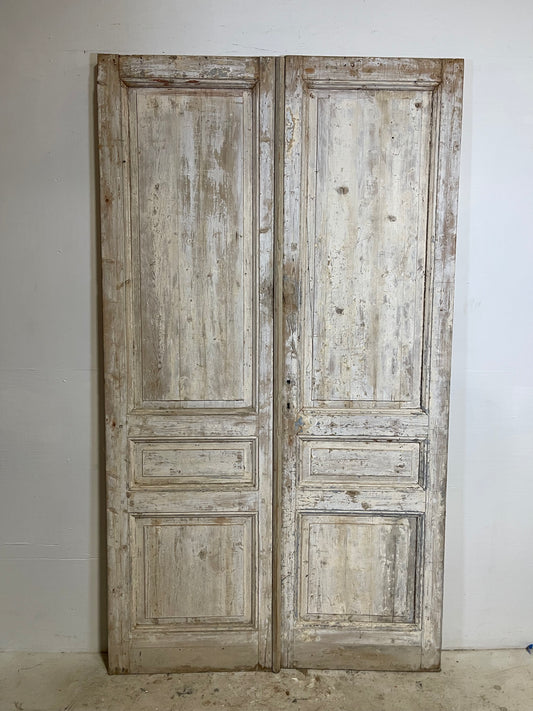 Antique French panel Doors (94.75x53.5) L268