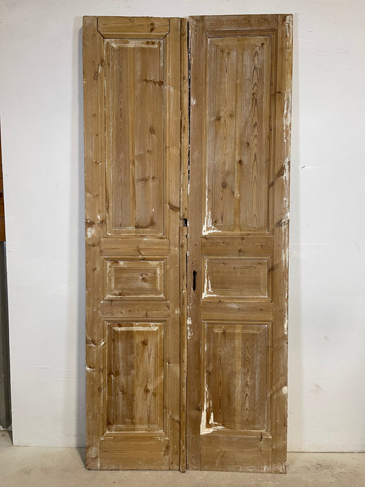 Antique French panel Doors (95x43) L353