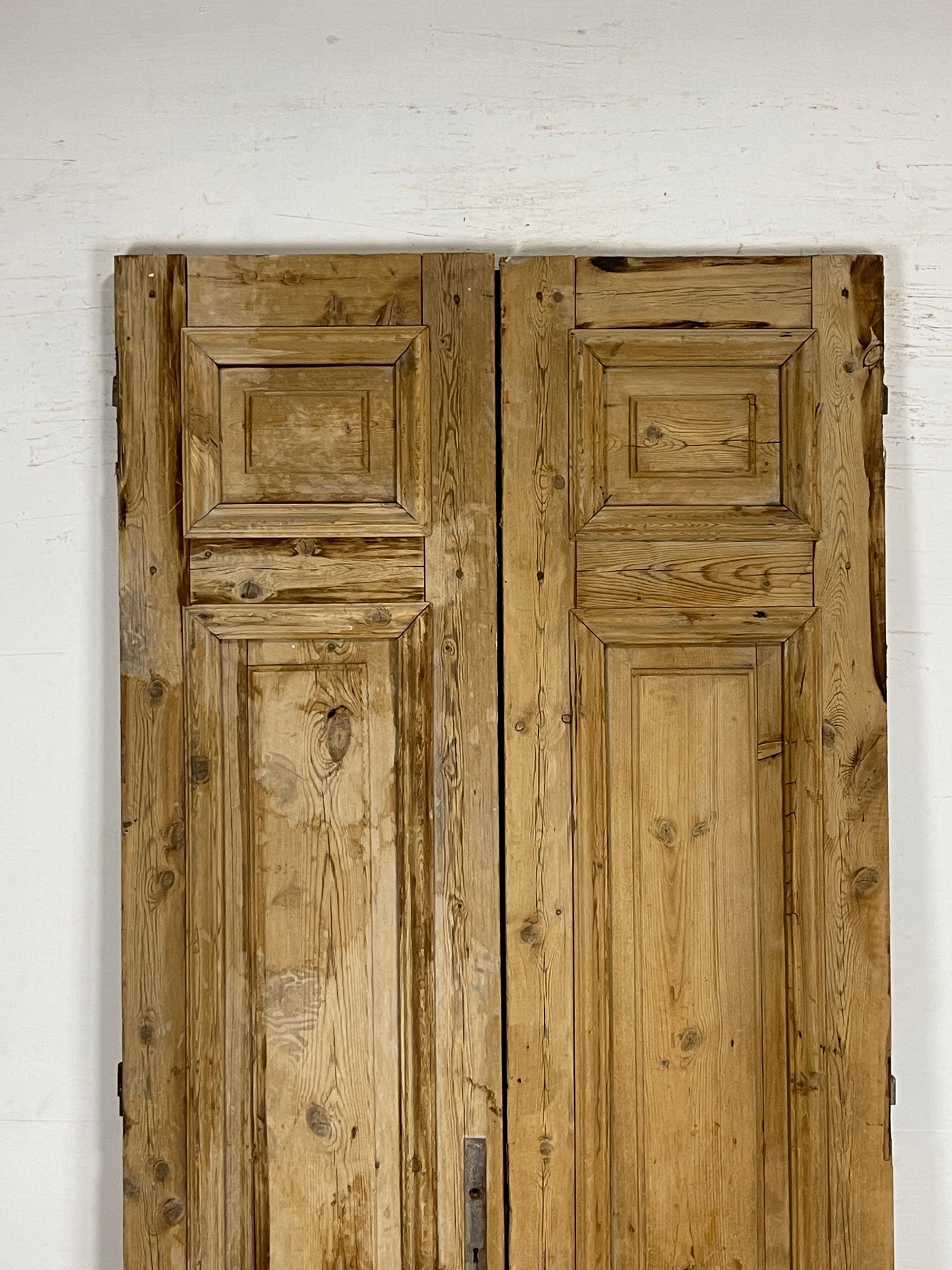 Antique French panel Doors (97.5 x 42.5) N144