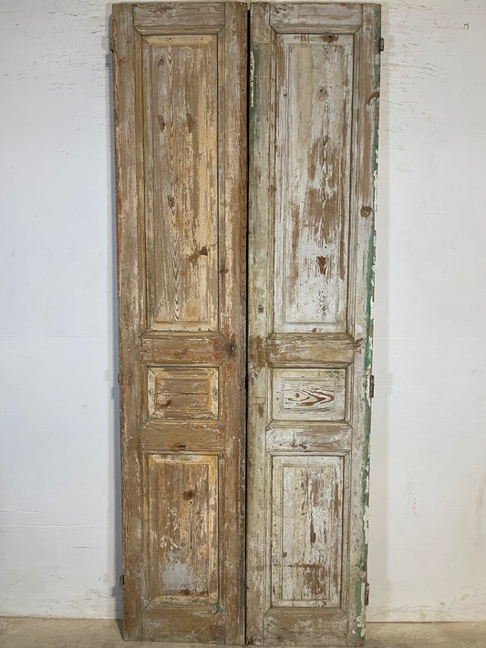 Antique French panel Doors (96.5x38.25) K622