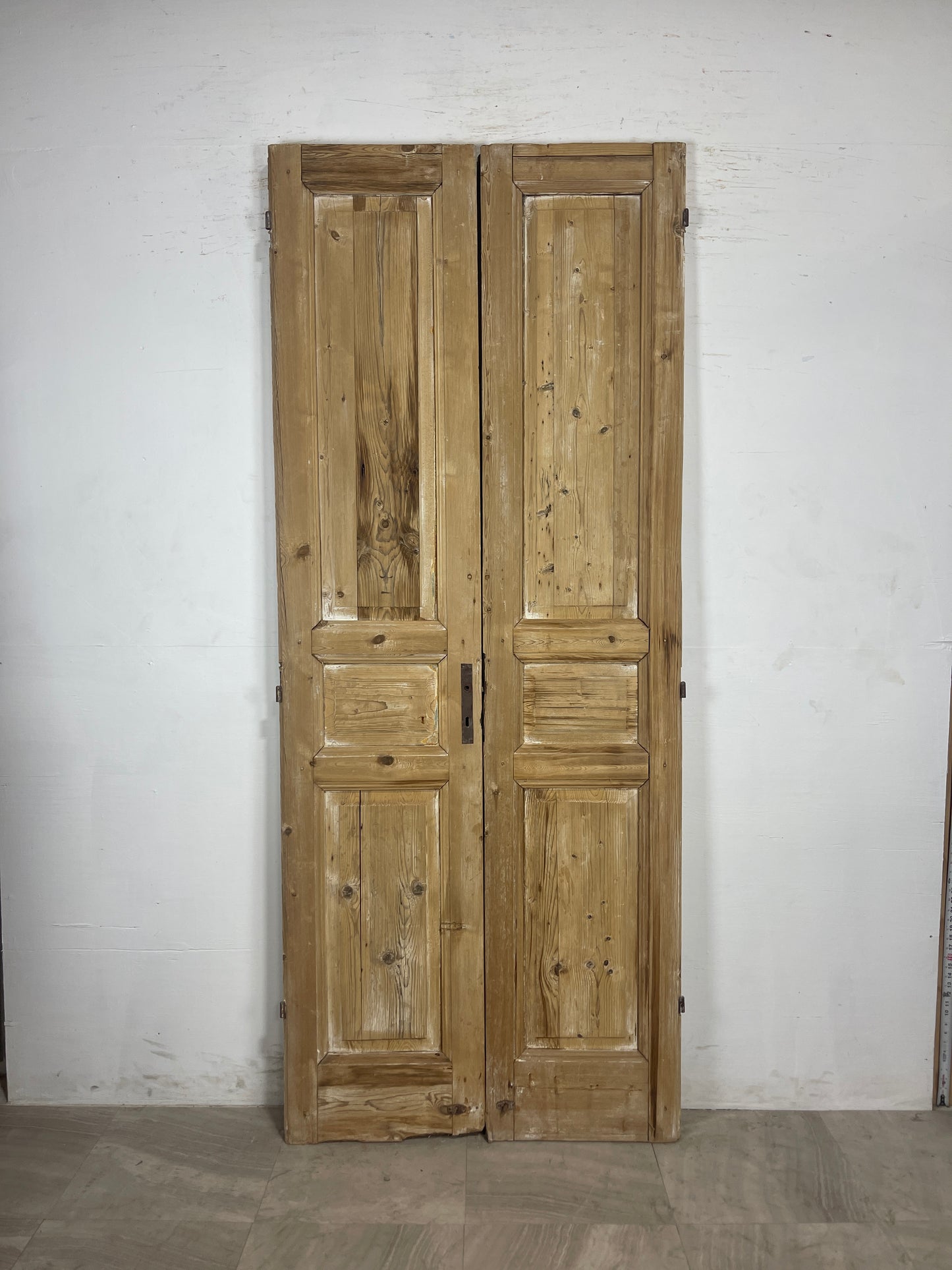 Antique French panel Doors (94.75 x 38.5) N117